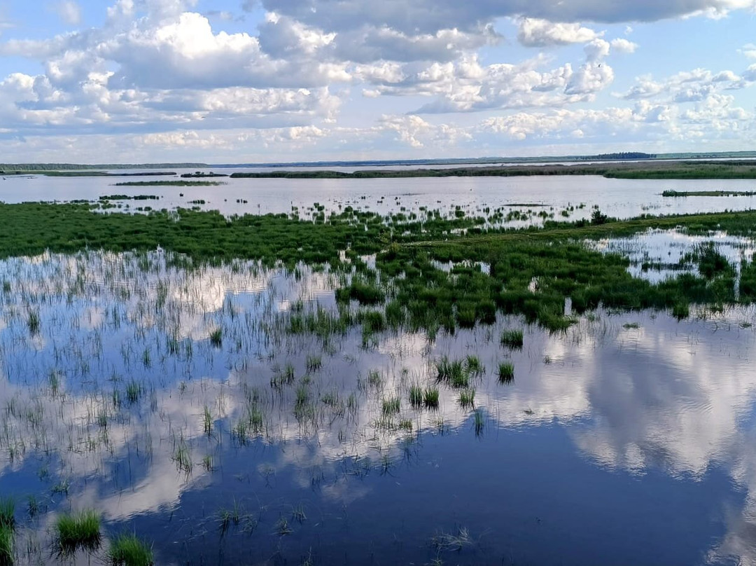 Lake Engure Nature Park-Engure必去景点