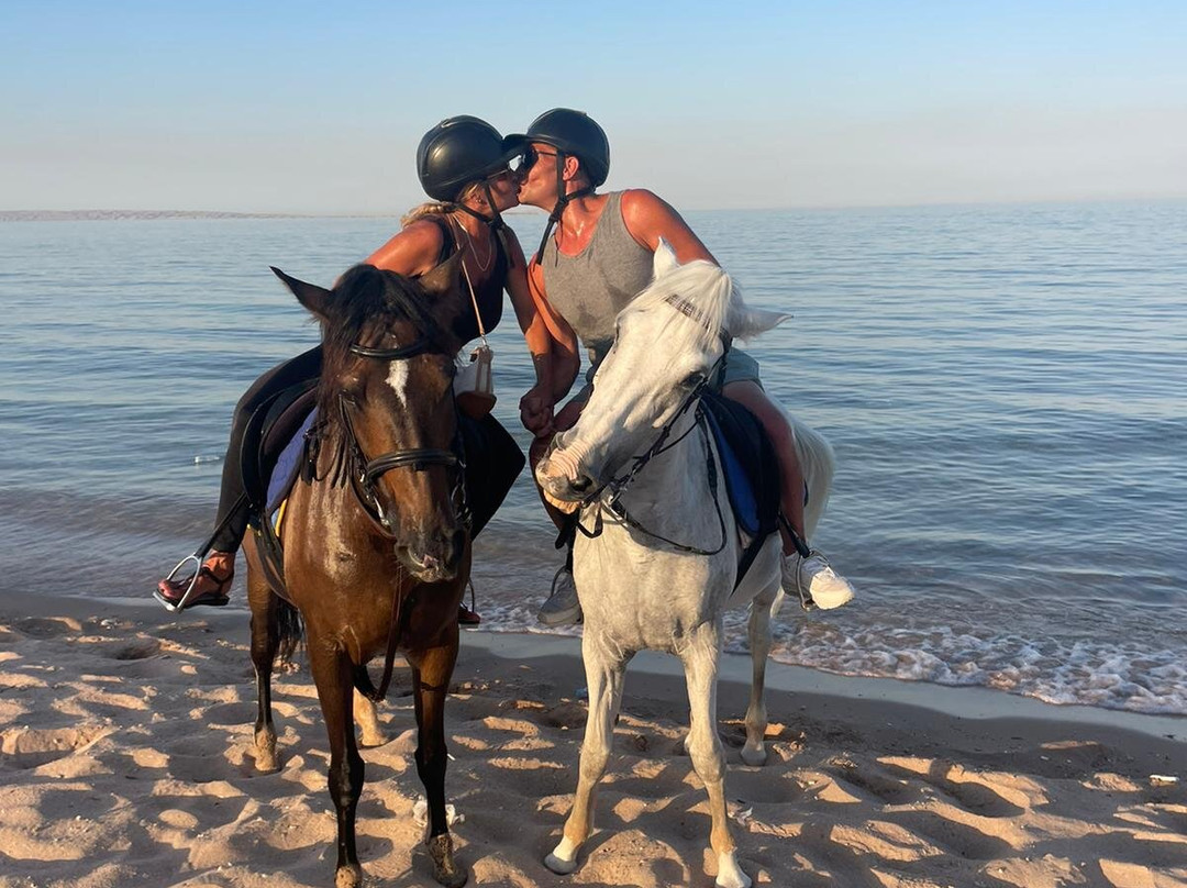 Happy Horse Stable Magawish Horseriding-赫尔格达必去景点