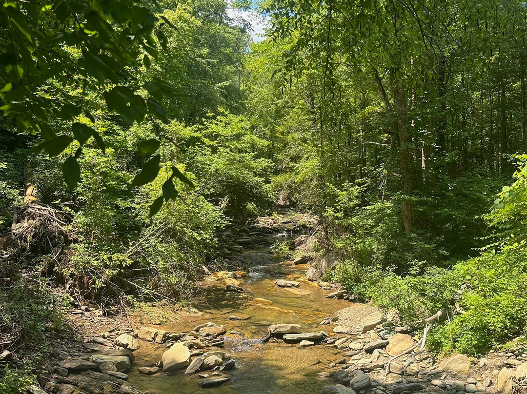 Catawba Falls-Old Fort必去景点