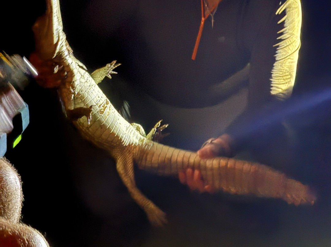 Tambopata Wild Life Perú-San Sebastian必去景点