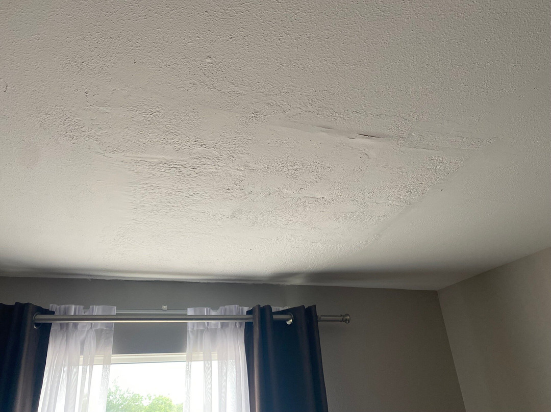 Best Western Plus Moncton主图