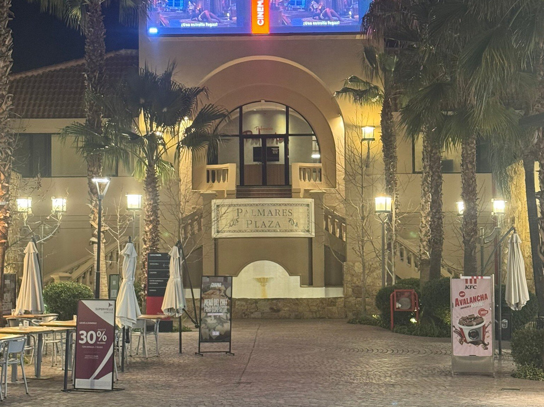 Palmares Open Mall-Godoy Cruz必去景点