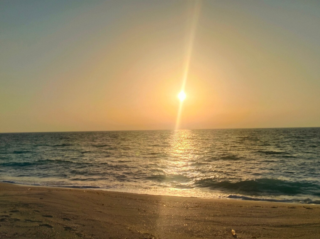 弗拉明戈海滩度假村主图