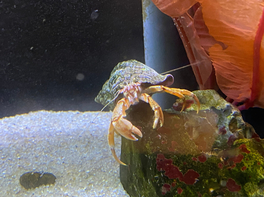 Nordsoen Oceanarium-赫茨哈斯必去景点