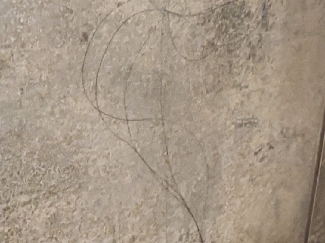 Best Western Plus Kamloops Hotel主图