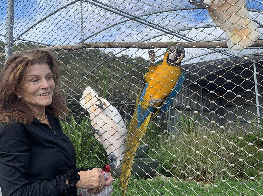 Saddles Garden Centre-Mount White必去景点