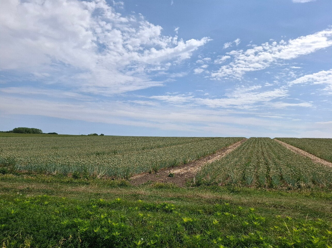 Le Vélorail des Volcans-Espirat必去景点