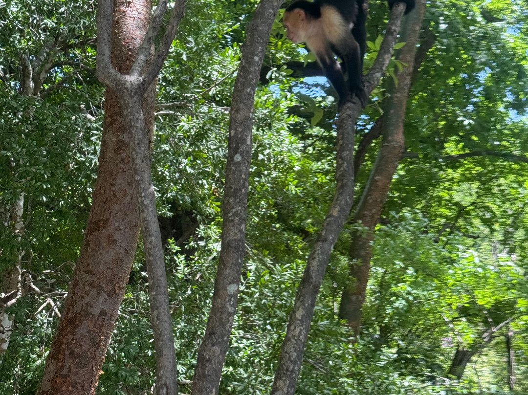 Tours Your Way-Playas del Coco必去景点