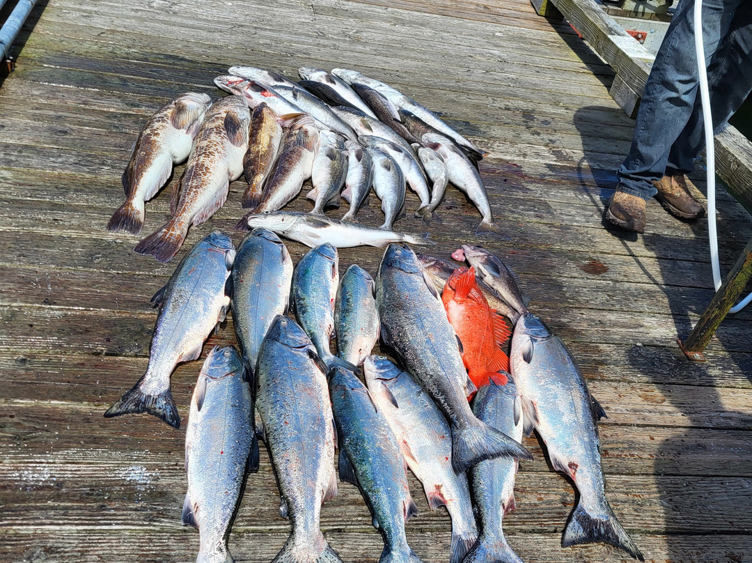 Marcus Kennett Fishing Charters-Port Renfrew必去景点