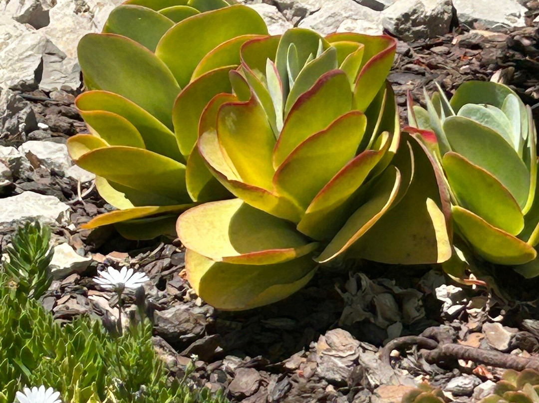 Rota das Ilhas - Boat Tours-奥良必去景点