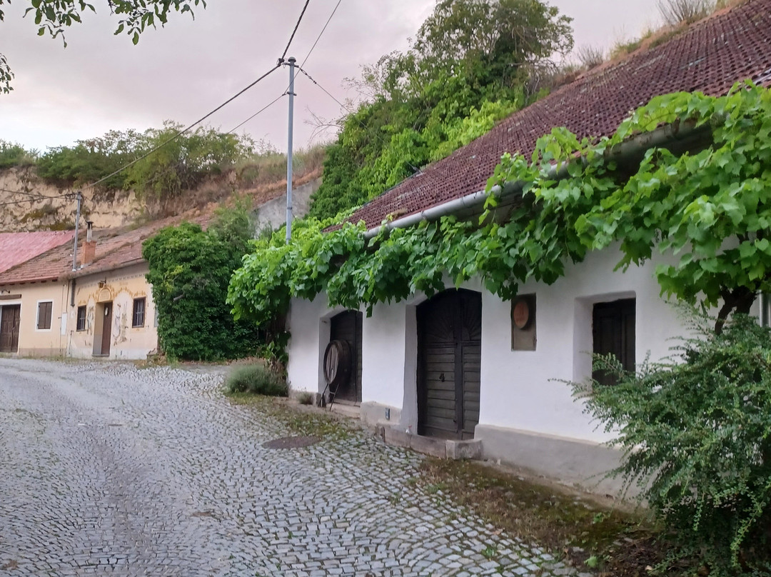 Rohrendorfer Kellergasse „Lindobergasse“
