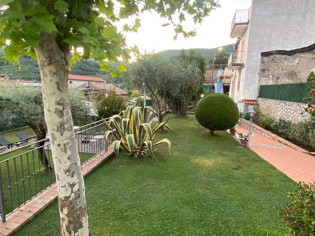 Farfalle E Gabbiani主图