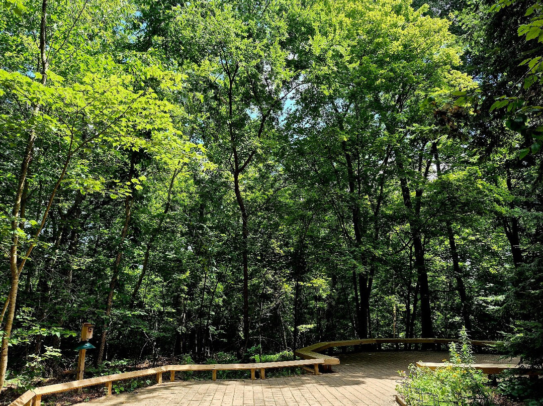 Hemlock Bluffs Nature Preserve-卡瑞必去景点