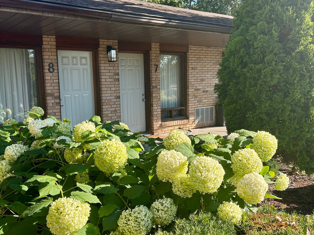 里多海斯旅馆主图