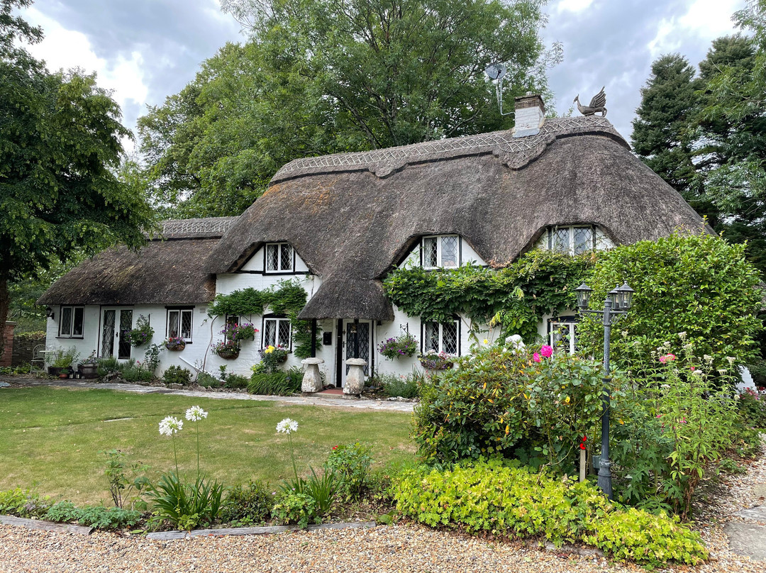 Thatched Eaves主图