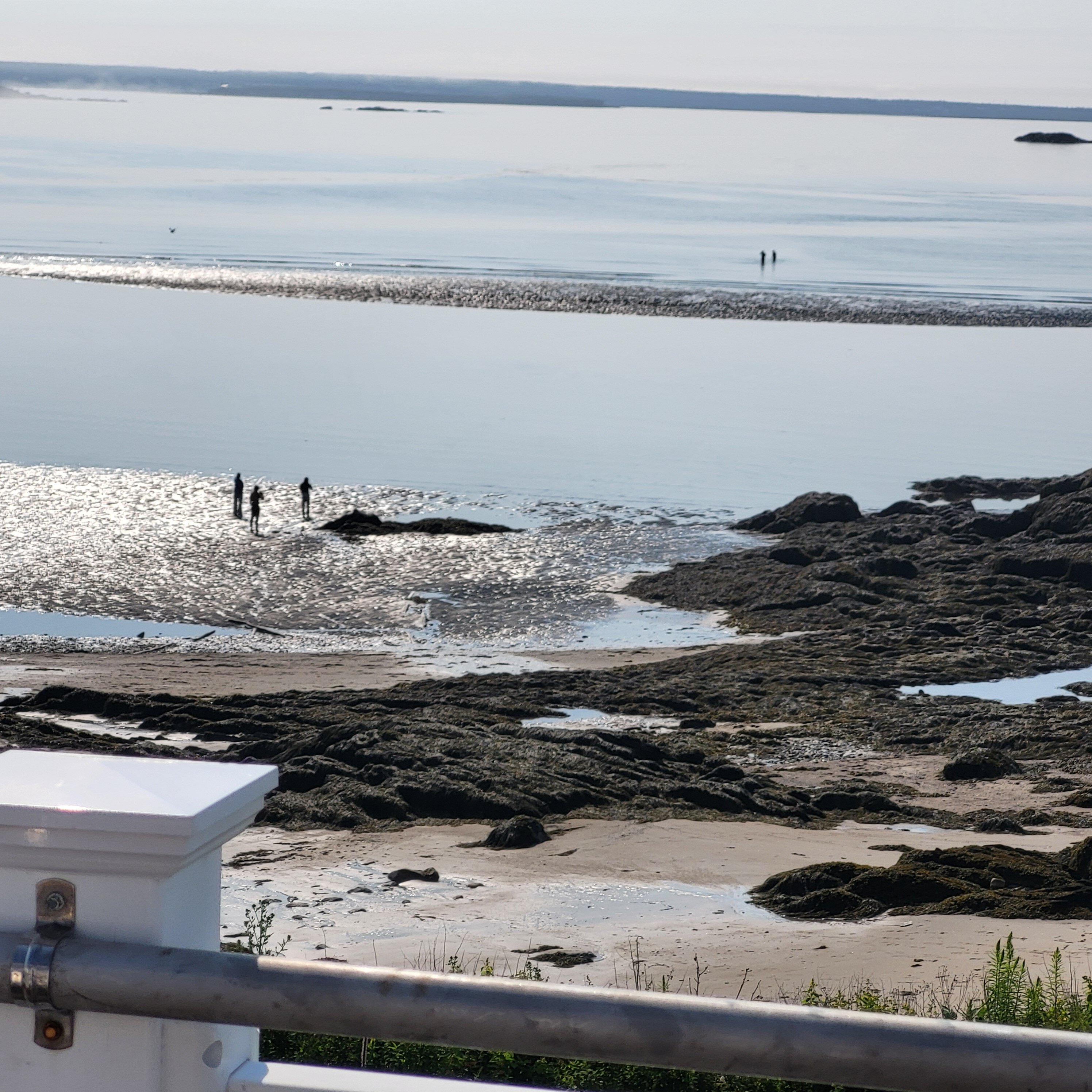 Clipper Shipp Beach Motel-酒店景观