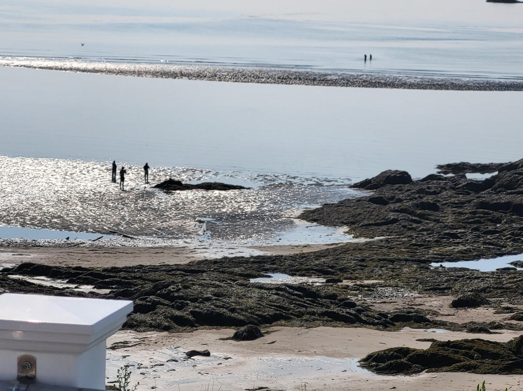 Clipper Shipp Beach Motel主图