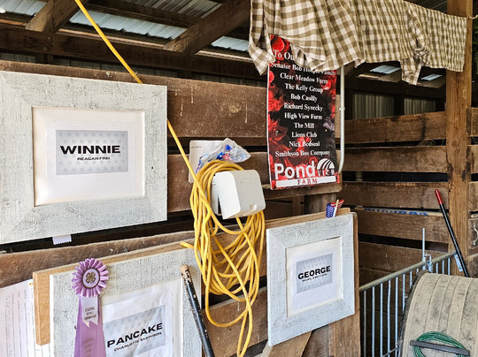 Pond View Farm-White Hall必去景点