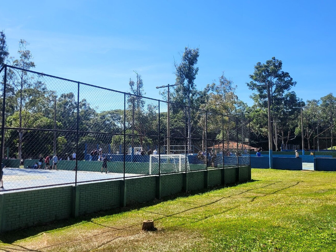 Parque do Sabiá-乌贝兰迪亚必去景点