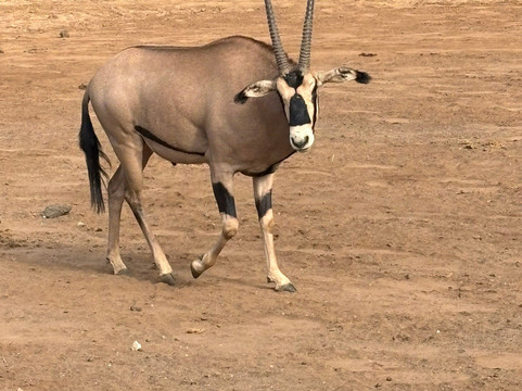 Netherken Safaris & Tours-蒙巴萨必去景点