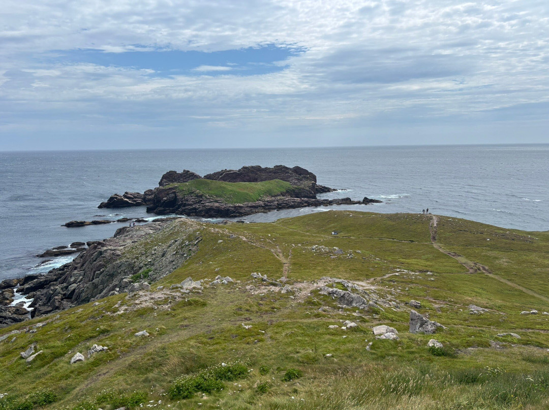 Lighthouse Picnics-Ferryland必去景点