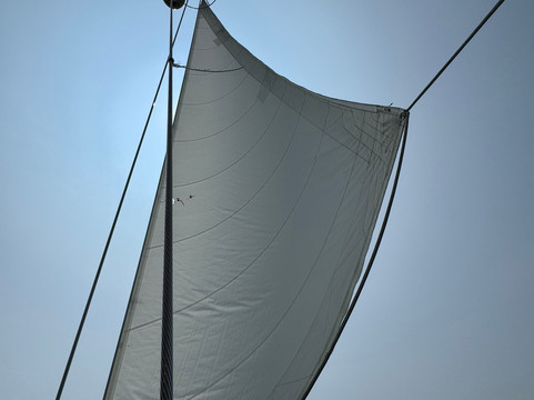 Witch of Endor Sailing Charters-Vineyard Haven必去景点