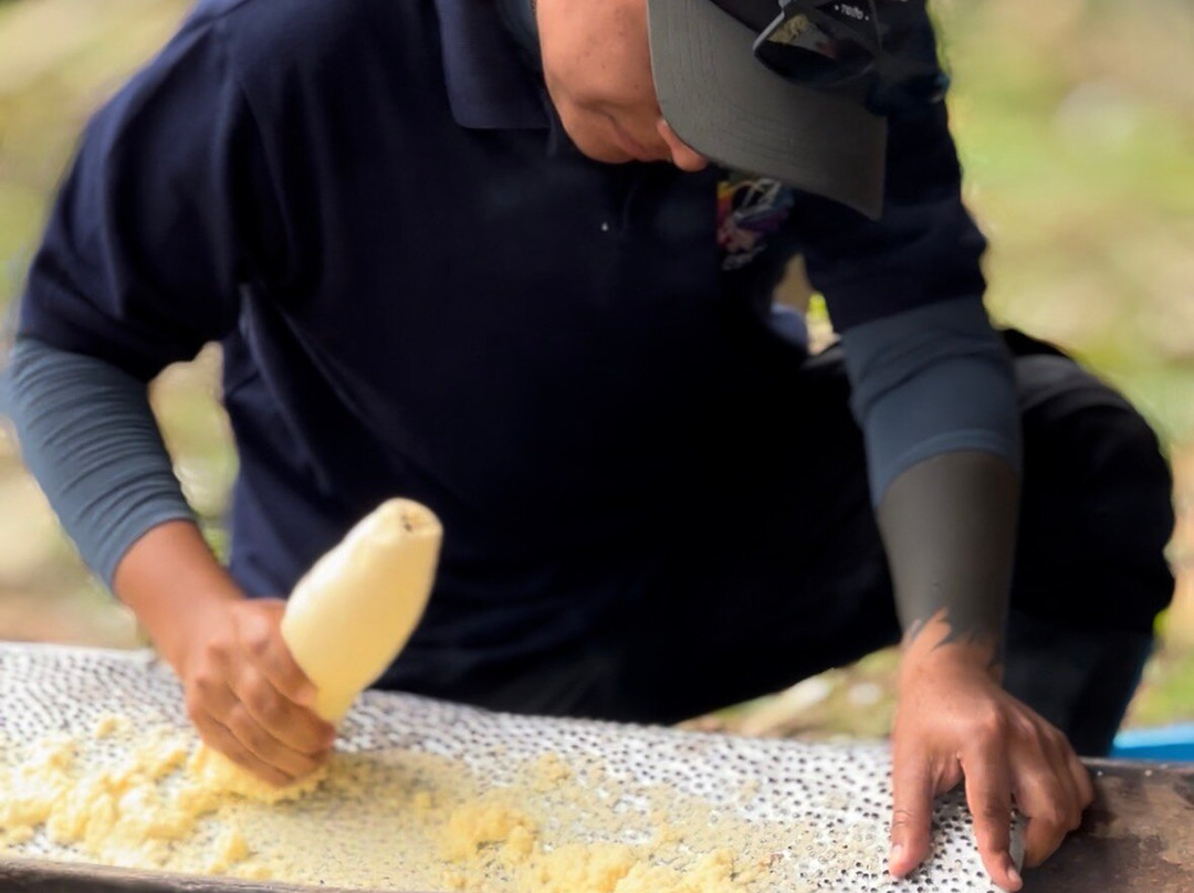 Amazon Travel-Coca必去景点