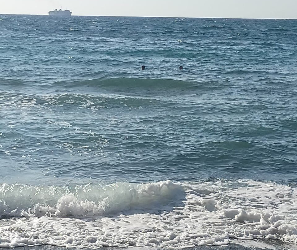 Spiaggia del Pozzo Vecchio-普罗奇达必去景点