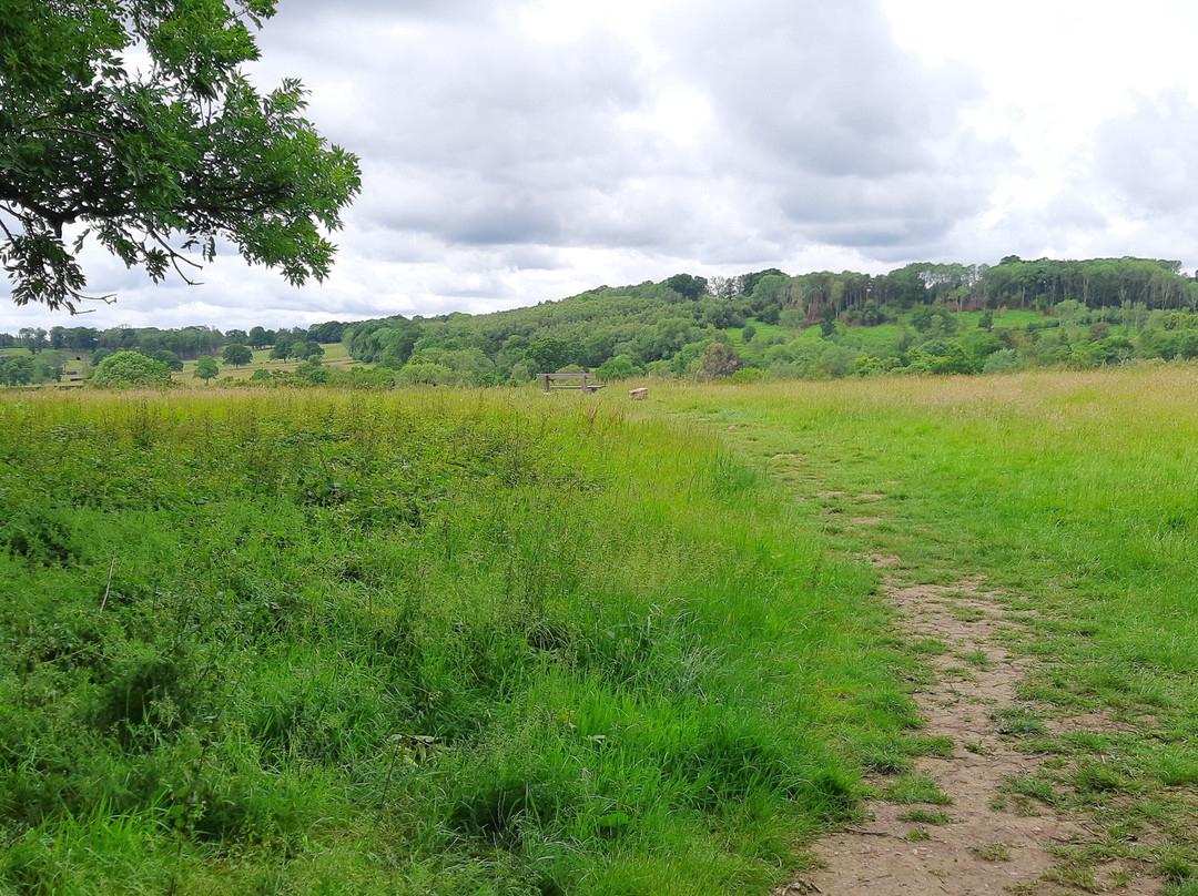 Chesworth Farm-霍舍姆必去景点
