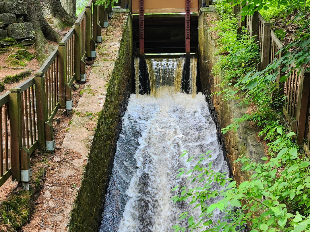 Grand Boisé De Pointe-du-lac-三河市必去景点