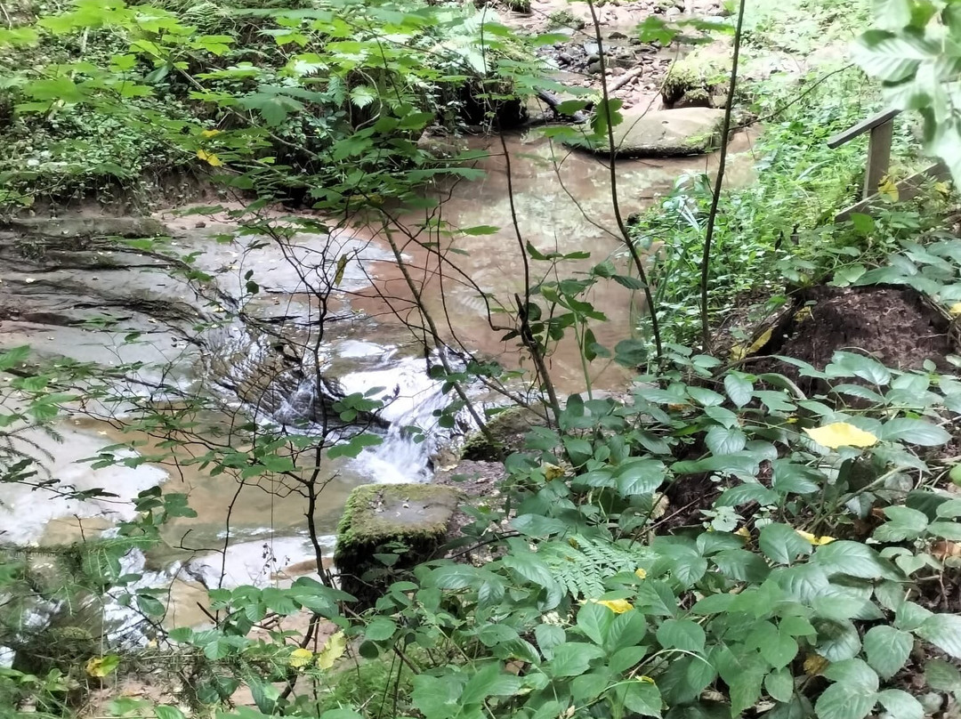 Villa Vontenie主图