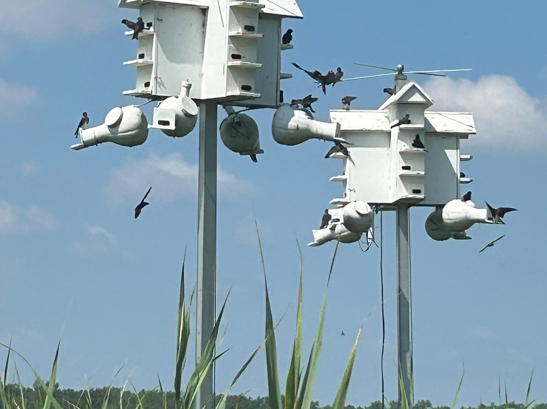 Montezuma National Wildlife Refuge-Seneca Falls必去景点