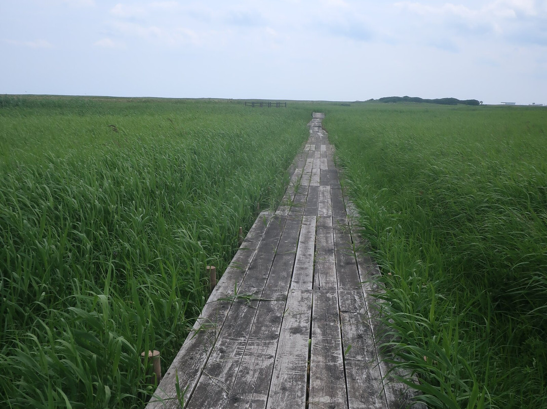 Veneer Nature Flower Garden-滨顿别町必去景点