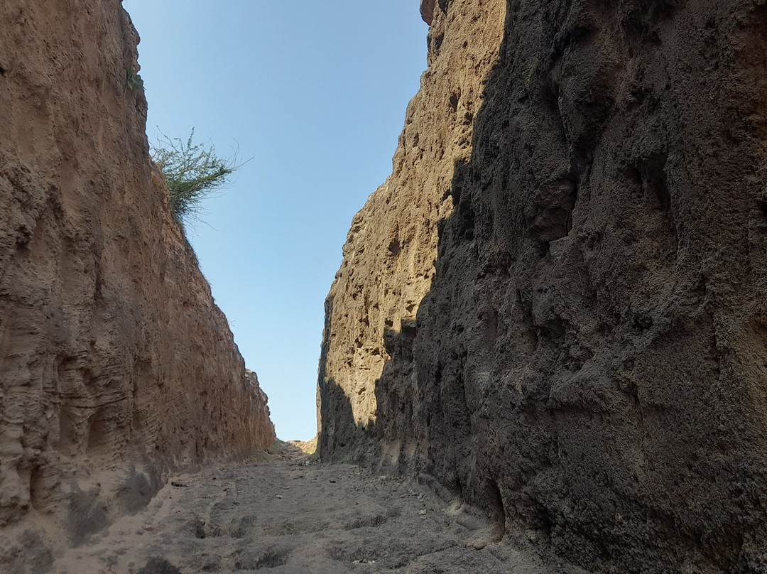 Vijali Baru-Mahuva必去景点