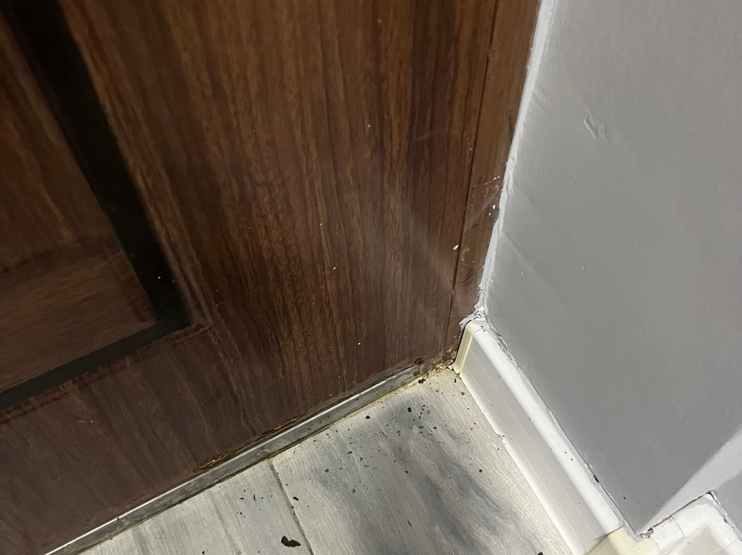 Dulamerovic Resort主图