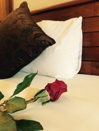 皇家帝国高级酒店主图