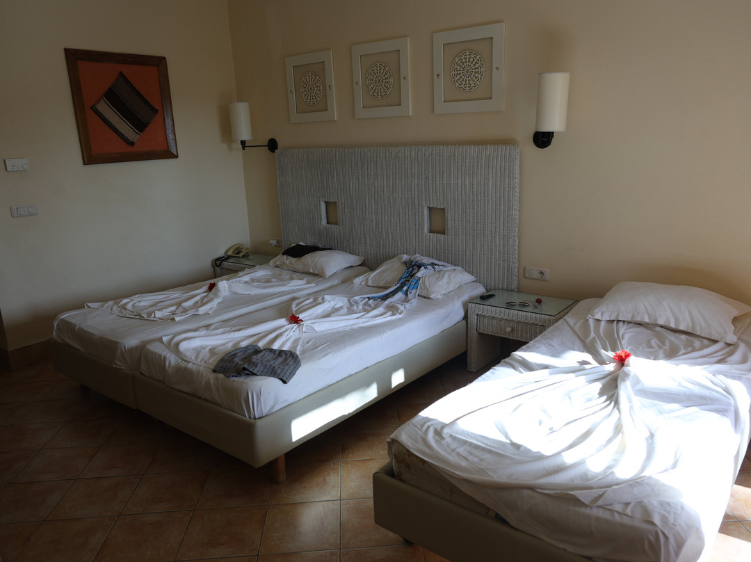 伊波罗之星萨费拉棕榈酒店主图