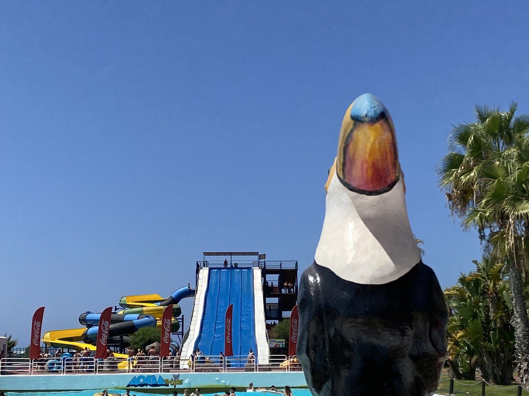 Aqua Tropic-阿尔穆涅卡尔必去景点