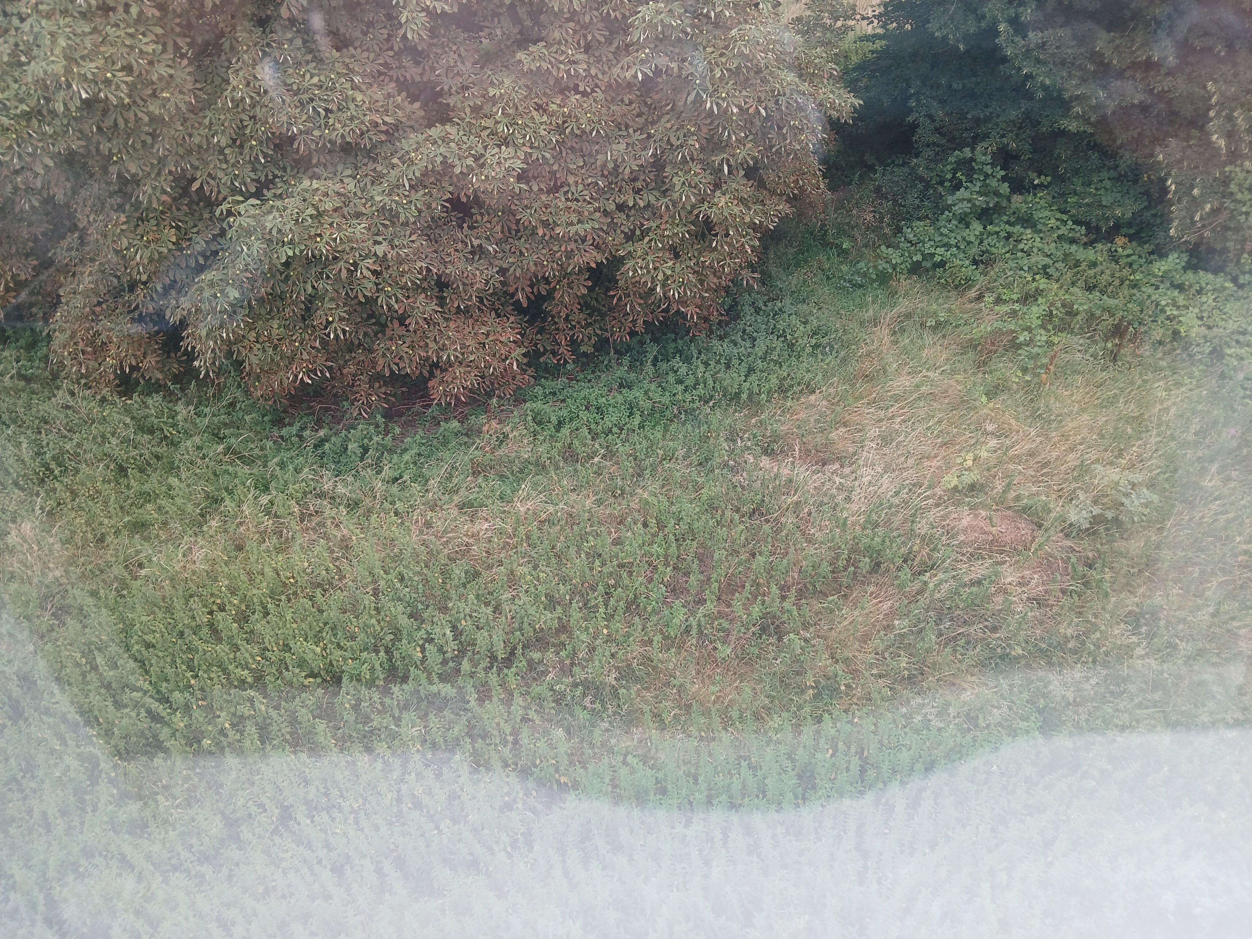 约克万豪酒店-浴室