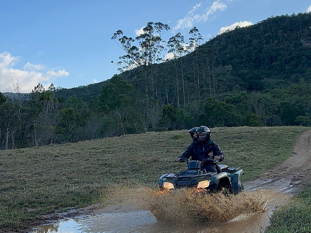 Graxaim do Mato-Praia Grande必去景点