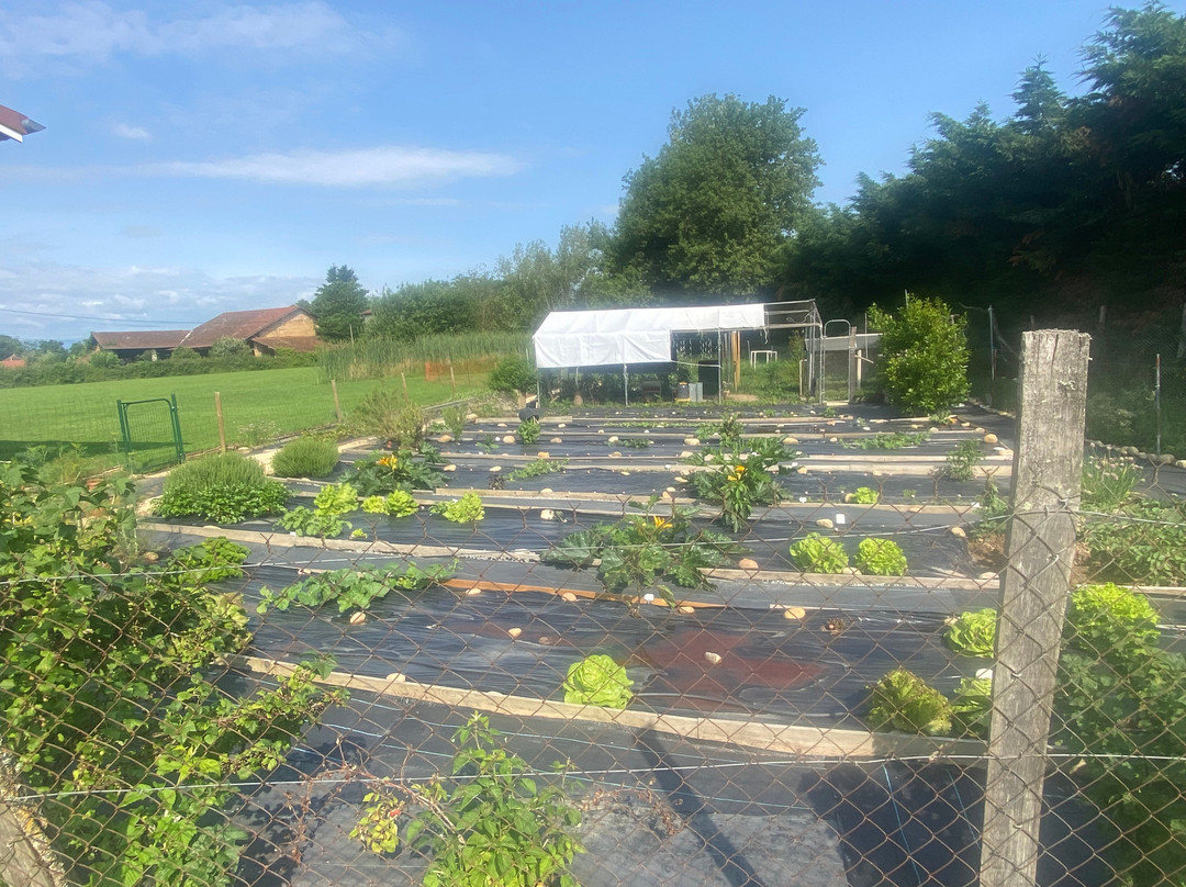 La Pastorale Gourmande主图