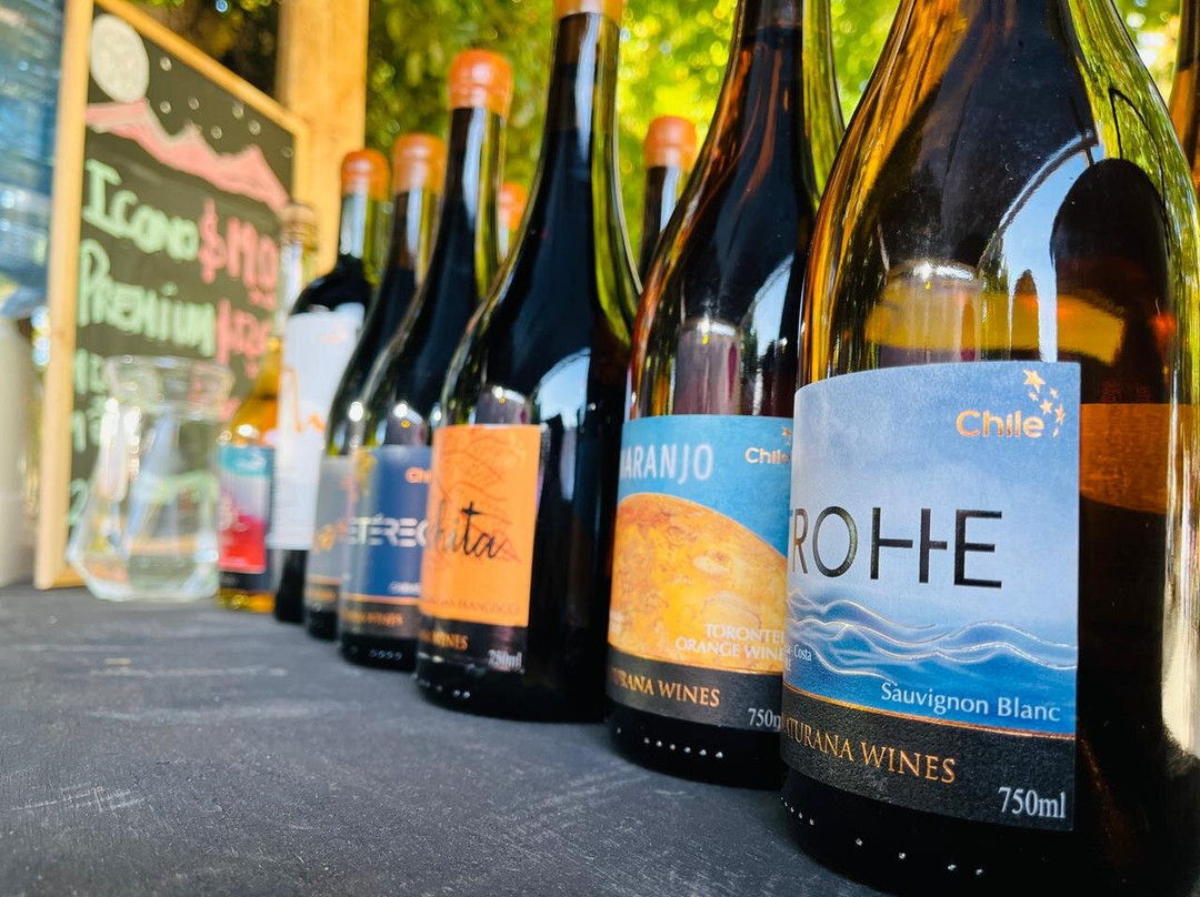 Maturana Wines-San Fernando必去景点