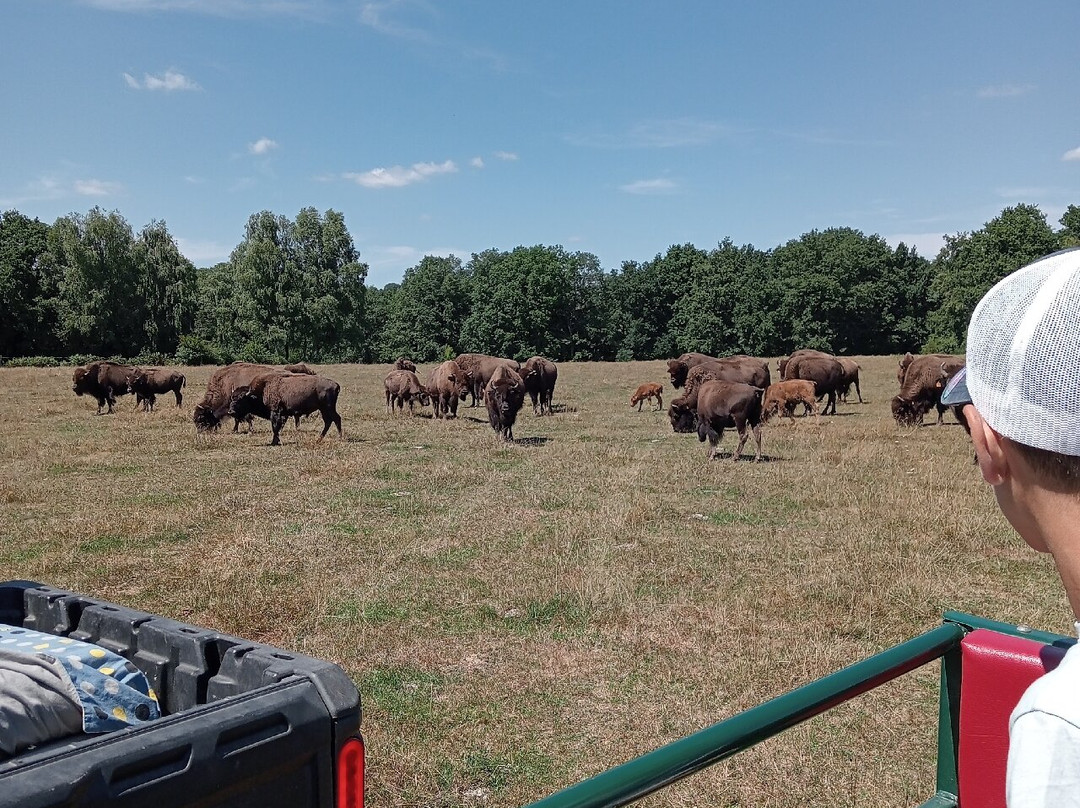 Elevage du Palais-Bourganeuf必去景点
