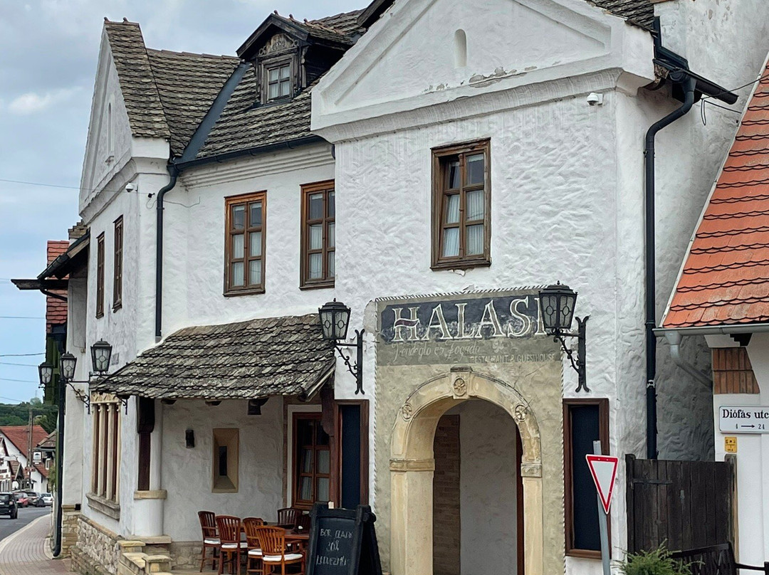 Halasi Pince Panzio主图