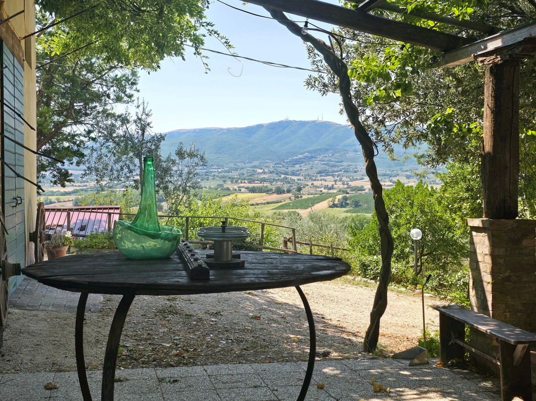 Cantina Fongoli-Montefalco必去景点