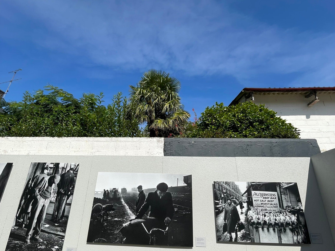 Festival La Gacilly Photo-La Gacilly必去景点