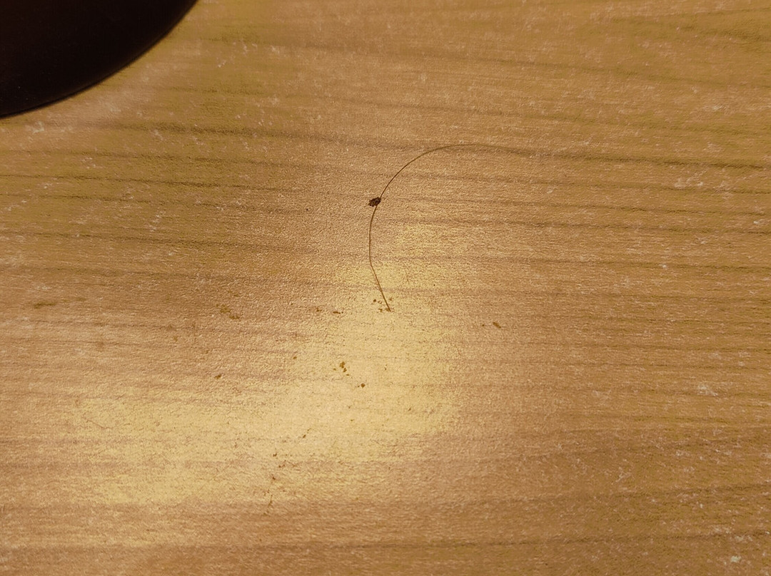 Pension Venta de Tebar主图