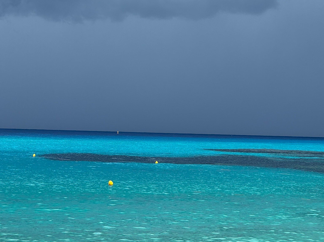Grotticelle Beach-Capo Vaticano必去景点