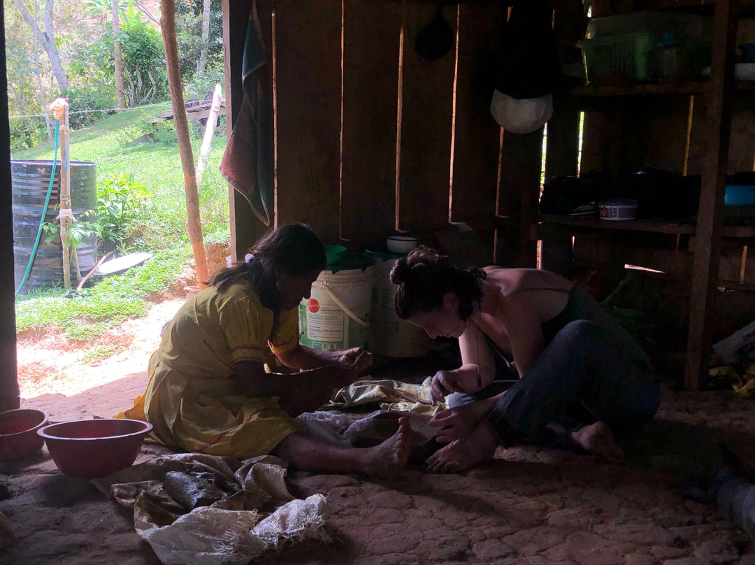 Roots Of The Amazon-Tarapoto必去景点