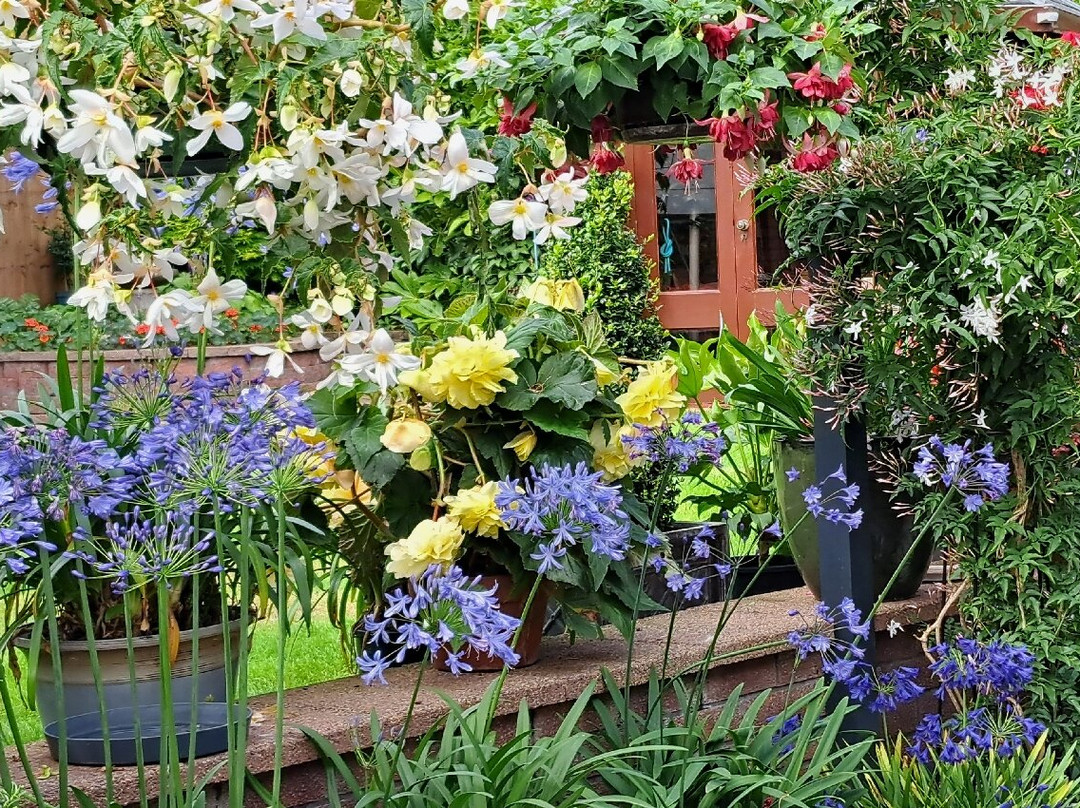 Pinegrove Lodge主图